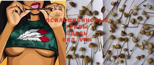 прущие крисы Алексин