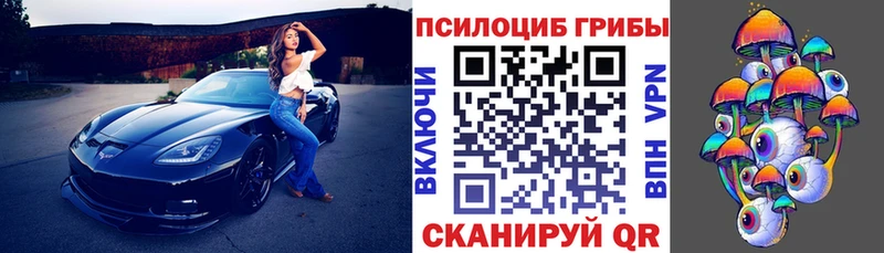 где купить наркоту  Звенигород  это состав  Псилоцибиновые грибы MAGIC MUSHROOMS 