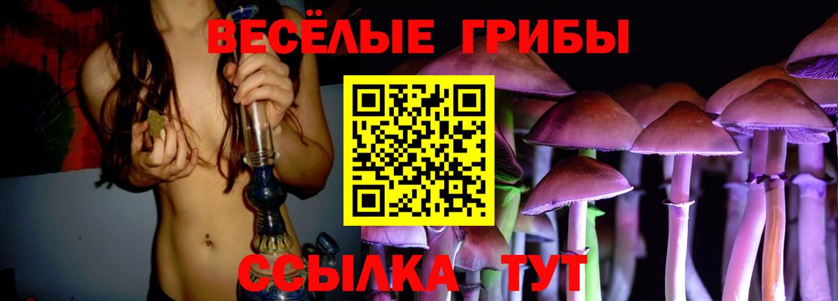 Псилоцибиновые грибы MAGIC MUSHROOMS Звенигород